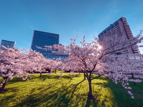 Screenshot 2025-03-16 alle 19.25.19